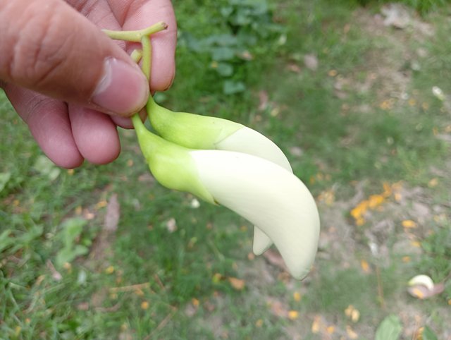 IMG20250420130504.jpg