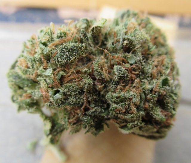 fullnugtop.jpg