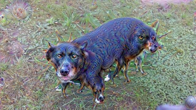 dog-deepdream.jpg