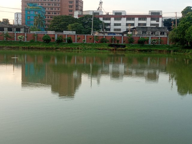 20220713_181924.jpg
