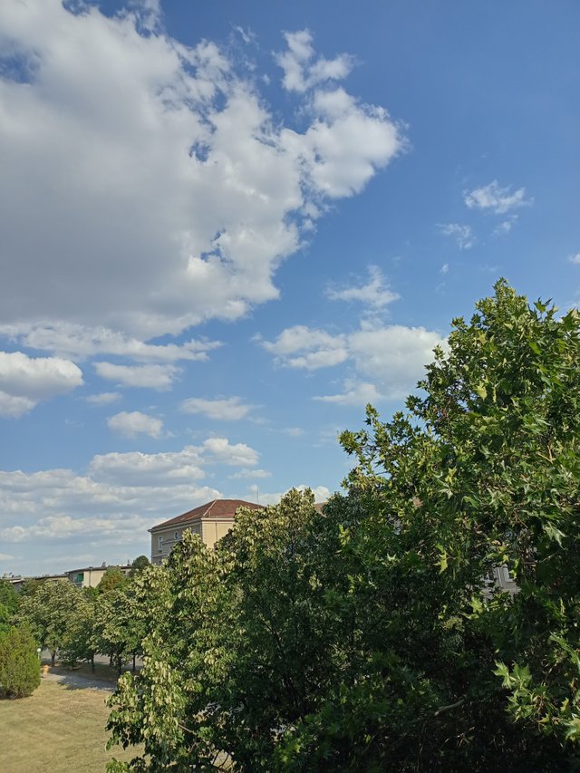 IMG_20250804_173522.jpg