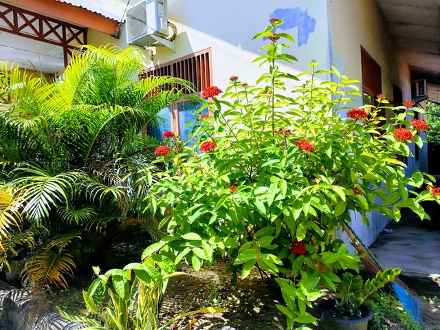 IMG_20250528_104846.jpg
