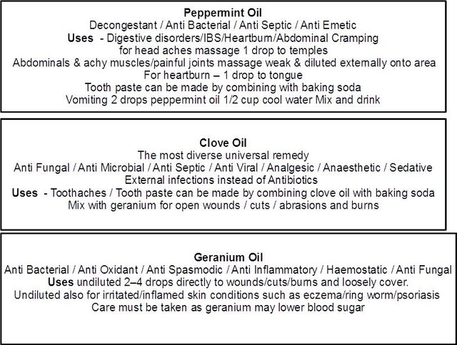 PREPPER ESSENTIAL OIL LABELS 3-PVUK.jpg