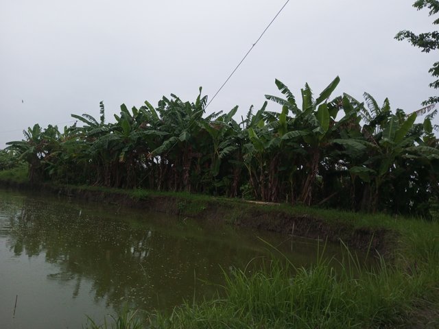 IMG_20250813_184526_494.jpg