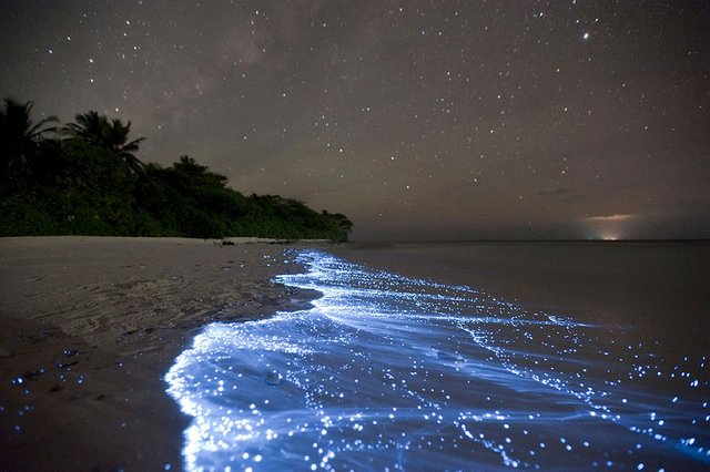 vaadhoo-maldives-bioluminescent-beach.jpg