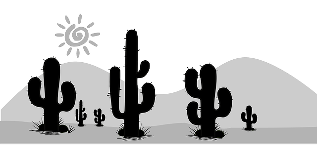 cactus-155567_640.png