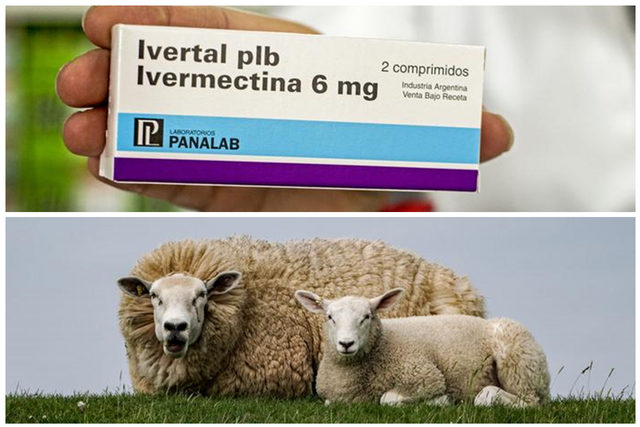 Ivermectin.png