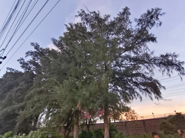 1000011535.jpg