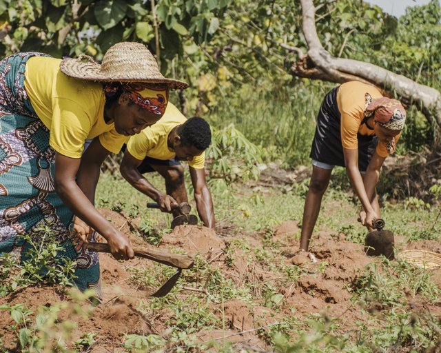 countryside-people-working-field.jpg