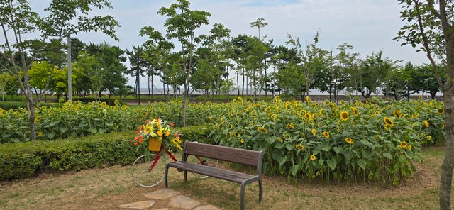 KakaoTalk_20250801_022657402_14.jpg