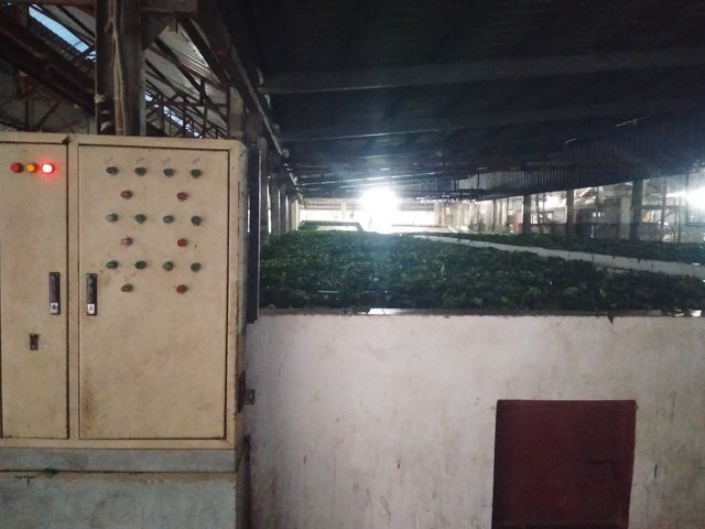 IMG20250701182247.jpg