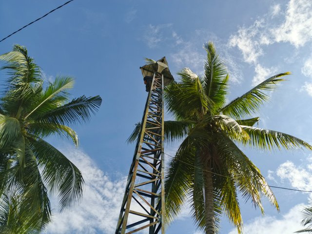 1000041387.jpg