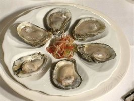 oysters-tm.jpg