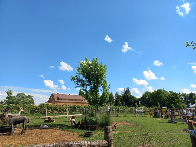 20250701_161316.jpg