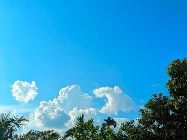 32FTXiZsHoAW6noHJDhrg3W8ZKHVFSsLYM859aTDCF8iErWQMankN1i7CP65JcT2HBG1mm3PSG7JPvqaThztdSTM2HD8dZcyUYtfvS8xyY3nQSZzEWgW1MKwvTyWU1nDzYPmXkHKvFNyxNnA.jpeg