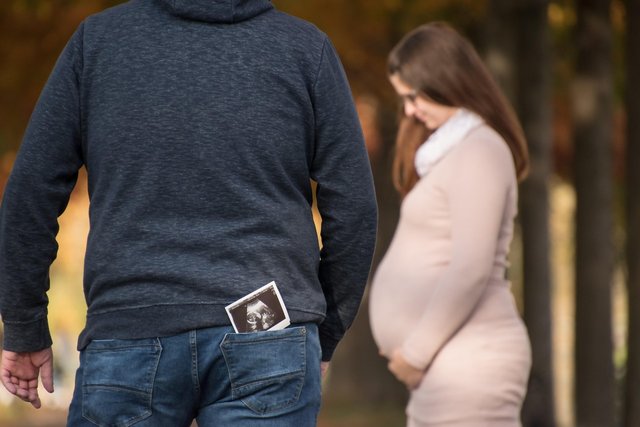 pregnancy-5730157_1280.jpg