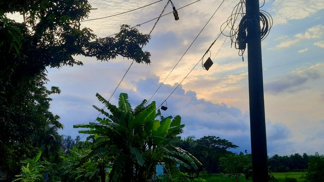 20250518_172528.jpg