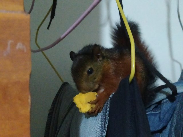 IMG_20250908_165459.jpg