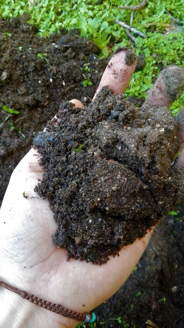 Hand of soil.jpg