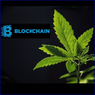 blockchain-cannabis.jpg