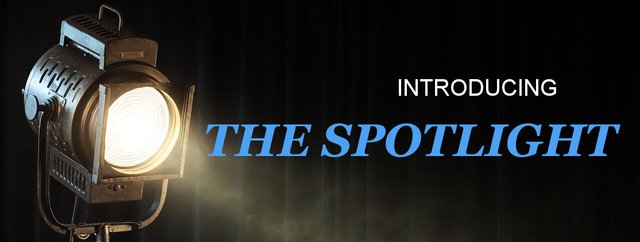 the spotlight rough logo.jpg