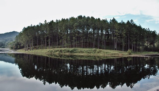 landscape Las Terrazas.jpg