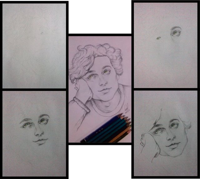 PROCESO TIMOTHEE.jpg