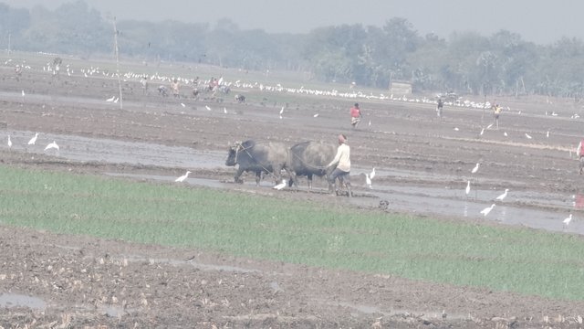 IMG_20250208_094849.jpg