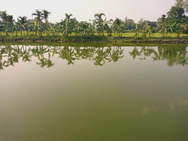 IMG_20250610_160525_618.jpg