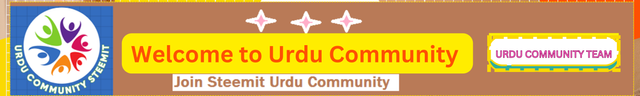 Welcome to Urdu Community_20240830_110202_0000.png