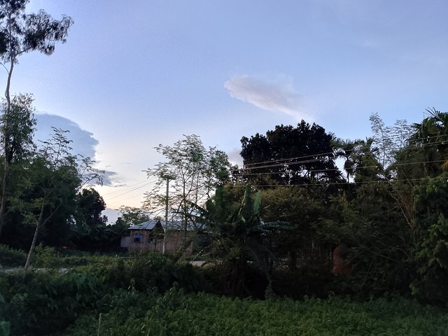 1000042898.jpg
