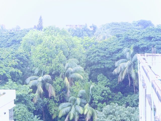 1000031417.jpg