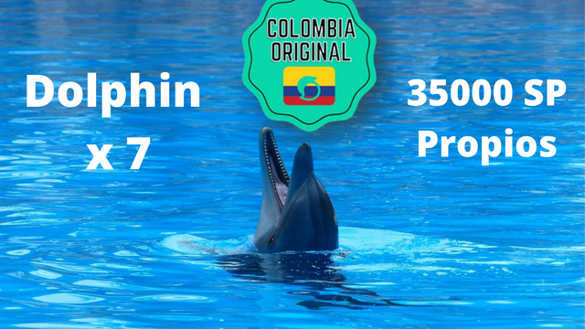 delfin por 7.png