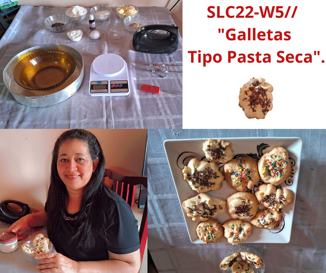 SLC22-W5 Galletas Tipo Pasta Seca..png