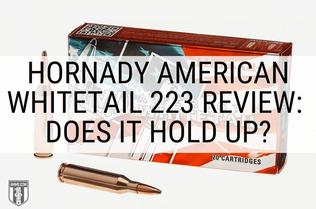 hornady-critical-defense-review-hero-image.jpg