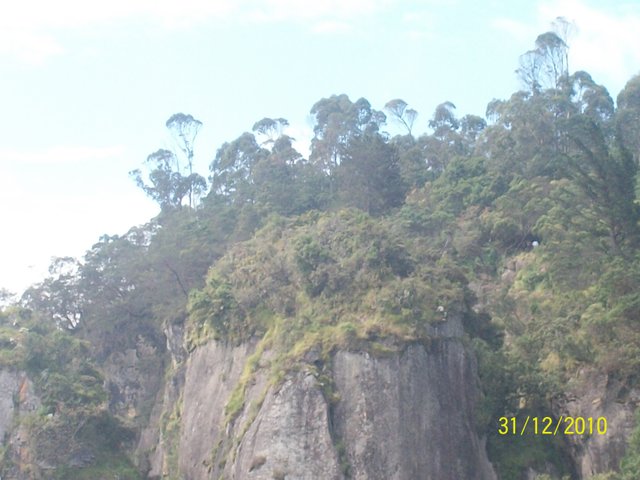 Kodai kanal (72).JPG