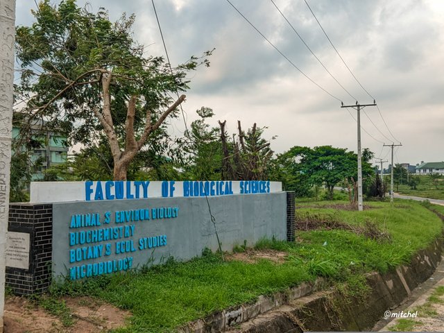 1000818423.jpg