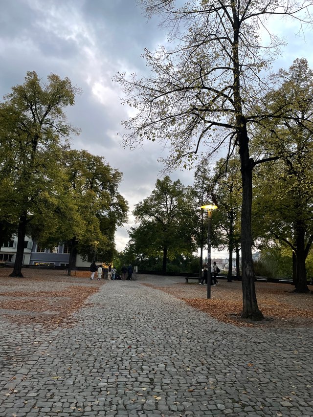 IMG_8997.jpeg