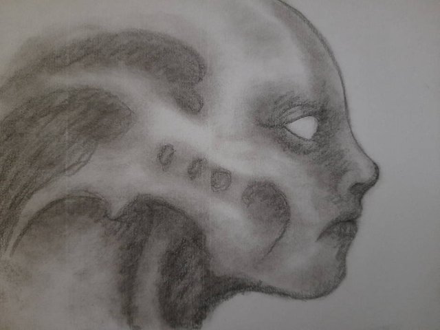 20250617_104551.jpg