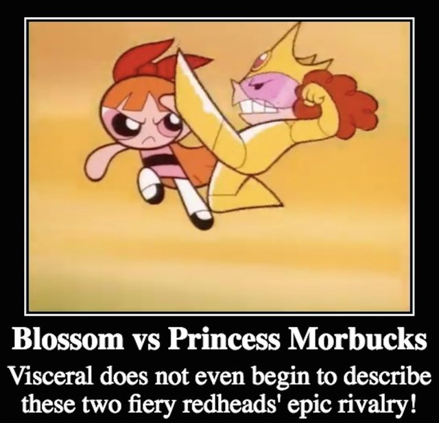 Townsville's Most Epic Rivalry.jpg