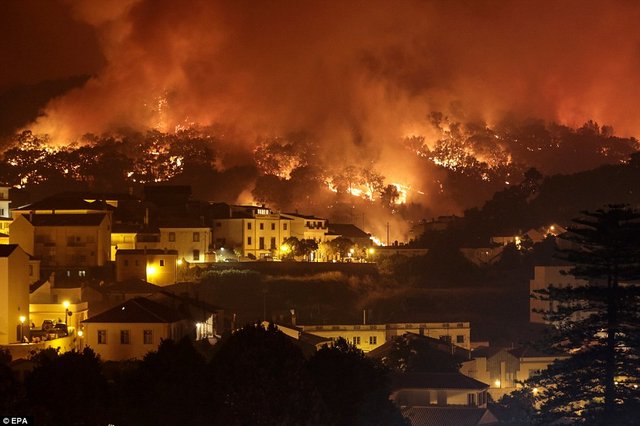 Algarve fire.jpg