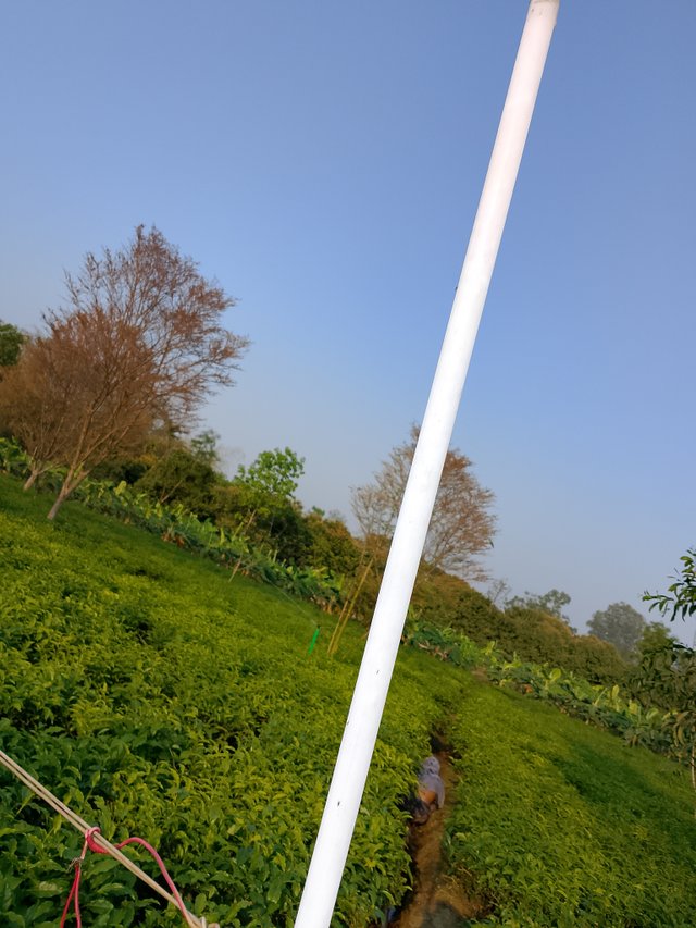 1000032912.jpg