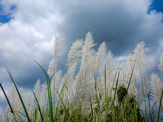IMG20241007122035.jpg