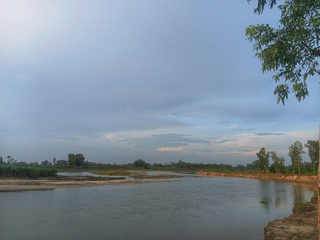 7869.jpg