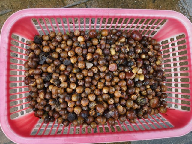 카카오스토리_2025_10_11 22_31_10.jpg