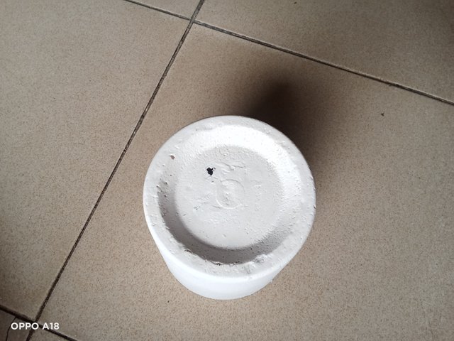 IMG20250824083744.jpg