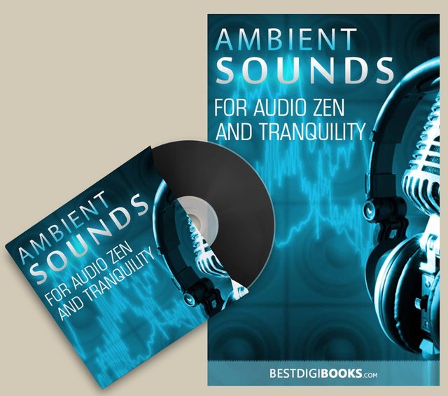Ambient Sounds+CD.jpg