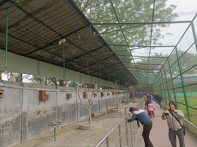 IMG20250103114539.jpg