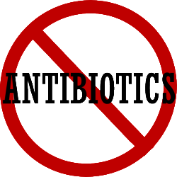 no-antibiotics-250x250.png