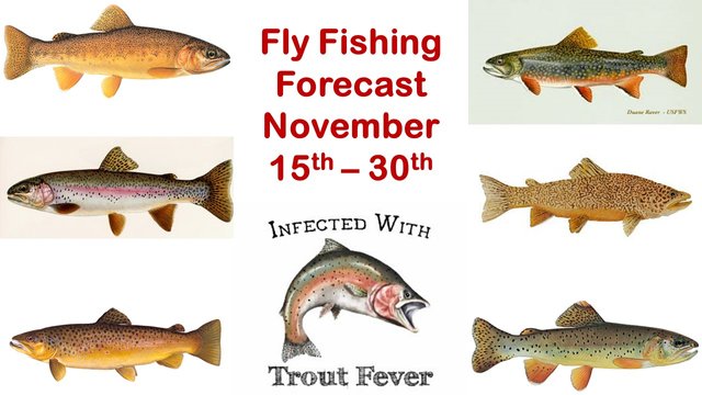 FlyFishingForecast_191115.jpg